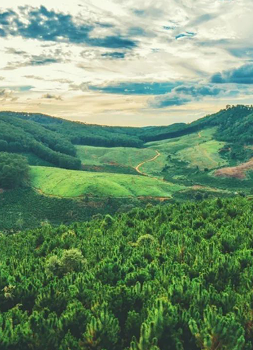 从扩大的jdb电子试玩平台林到消失的毛乌素，你认领的树苗再填新绿！