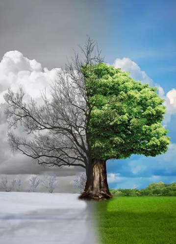 不年轻，无未来