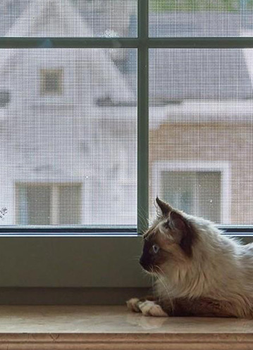 安徽省建筑节能降碳行动计划