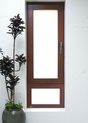 暑夏送凉，森小鹰寻“亲”记