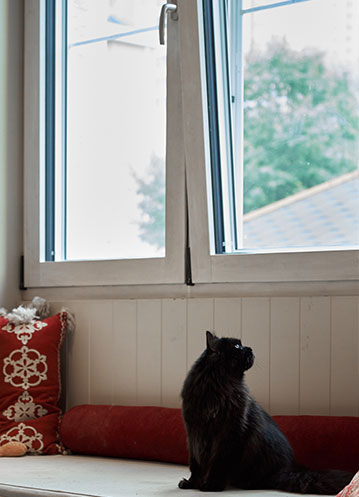 成都|立足“双碳”产业新赛道，绿色低碳产业规模突破2500亿元！