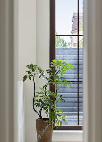 滁州：“双碳”行动助力城乡建设向“绿”而行