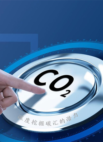 不知道什么是碳汇？其实你也可以这么理解